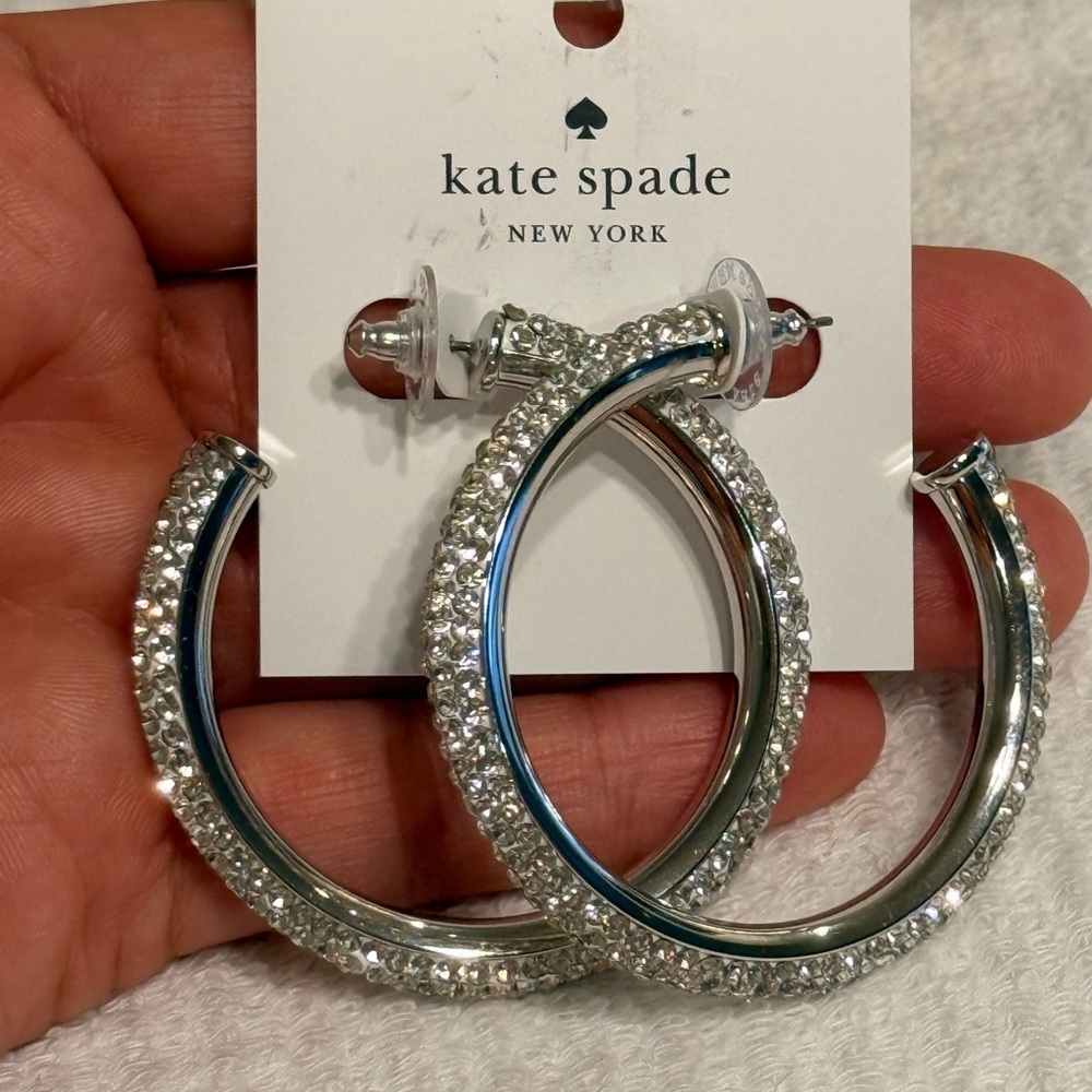 Elegant Silver Hoop Earrings - Picture 1 of 17